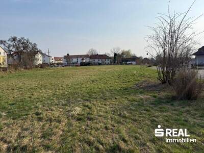 Grundstück kaufen in 4070 Pupping (Bild 1)