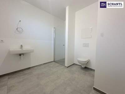 Terrassenwohnung kaufen in 8401 Kalsdorf (Bild 5)