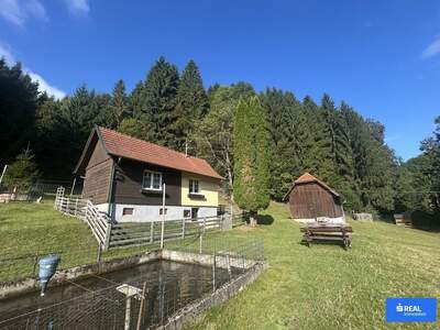 Haus kaufen in 9411 St. Michael