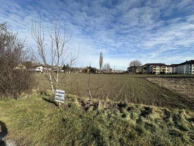 Grundstück kaufen in 7202 Bad Sauerbrunn (Bild 2)