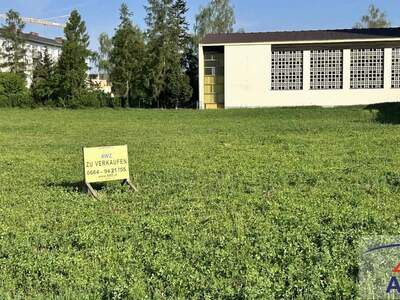 Grundstück kaufen in 4614 Marchtrenk