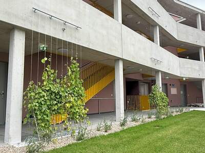 Terrassenwohnung mieten in 2700 Wr. Neustadt (Bild 4)