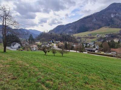 Grundstück kaufen in 4460 Losenstein (Bild 1)