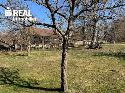 Haus kaufen in 7431 Bad Tatzmannsdorf (Bild 5)