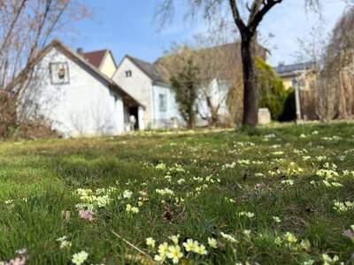 Haus kaufen in 3375 Krummnußbaum