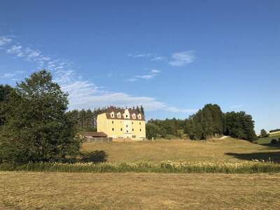 Haus kaufen in 4261 Rainbach (Bild 1)