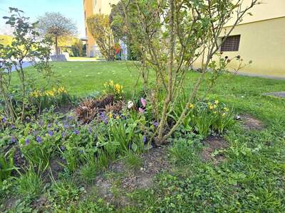 Wohnung kaufen in 8053 Graz