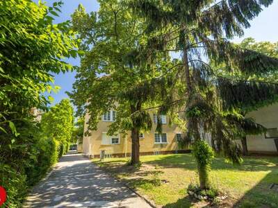 Wohnung mieten in 2320 Schwechat (Bild 1)