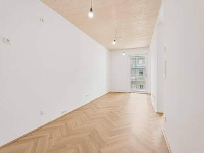 Anlageobjekt kaufen in 1020 Wien