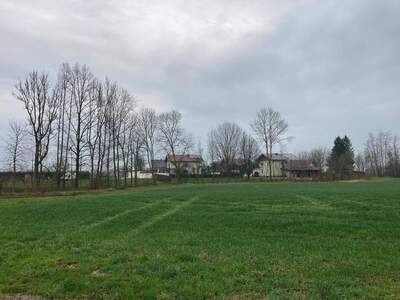 Grundstück kaufen in 4775 Taufkirchen