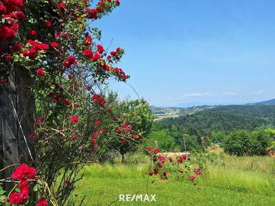 Haus kaufen in 8442 Kitzeck