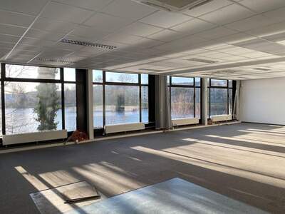 Gewerbeobjekt mieten in 1220 Wien (Bild 4)