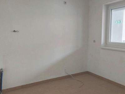 Terrassenwohnung mieten in 3382 Loosdorf (Bild 3)