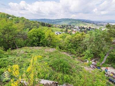 Grundstück kaufen in 3400 Klosterneuburg (Bild 4)
