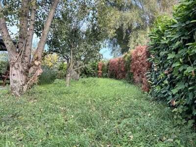 Grundstück kaufen in 7061 Trausdorf