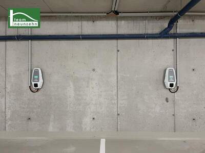 Halle / Lager / Produktion mieten in 2345 Brunn (Bild 2)