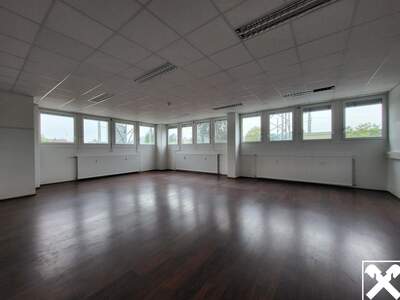 Gewerbeobjekt mieten in 4050 Traun (Bild 3)