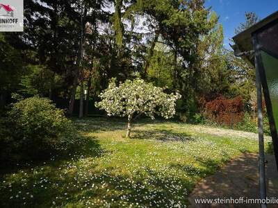 Haus kaufen in 1230 Wien