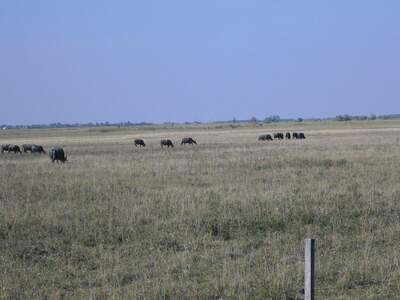 Grundstück kaufen in 9434 Fertöulak (Bild 4)