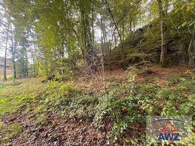 Haus kaufen in 4224 Wartberg