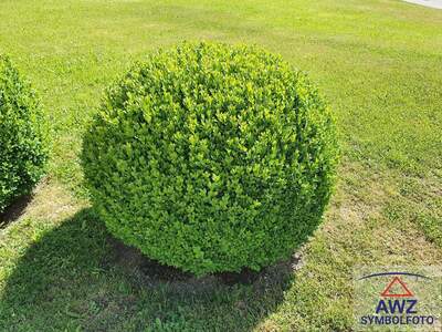 Haus kaufen in 9851 Seeboden