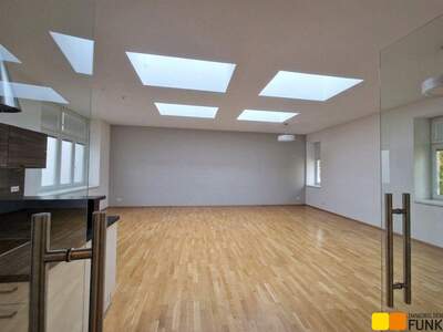 Altbauwohnung kaufen in 1040 Wien (Bild 1)