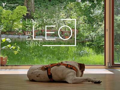 Haus kaufen in 1230 Wien