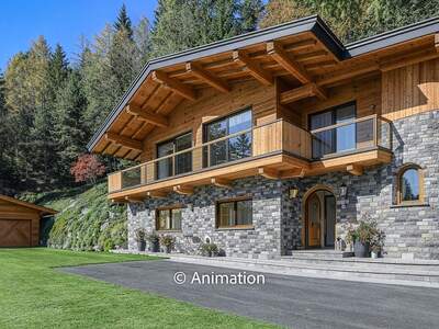 Chalet kaufen in 6384 Waidring (Bild 1)