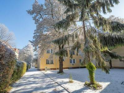 Wohnung mieten in 2320 Schwechat