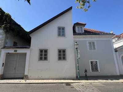 Haus kaufen in 1190 Wien