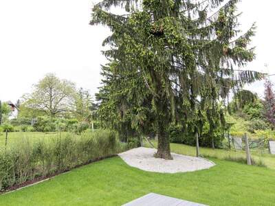 Haus mieten in 1170 Wien