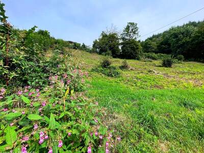 Grundstück kaufen in 9220 Duel (Bild 2)