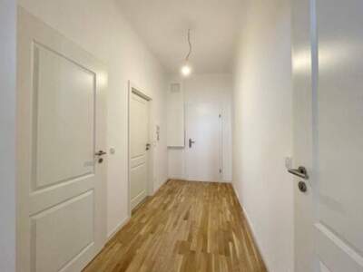Wohnung provisionsfrei mieten in 1090 Wien