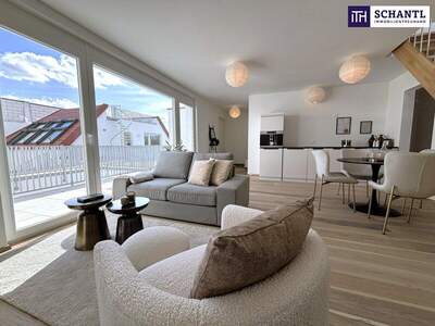 Terrassenwohnung kaufen in 2514 Traiskirchen (Bild 1)