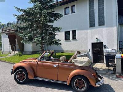 Wohnung kaufen in 8630 Mariazell