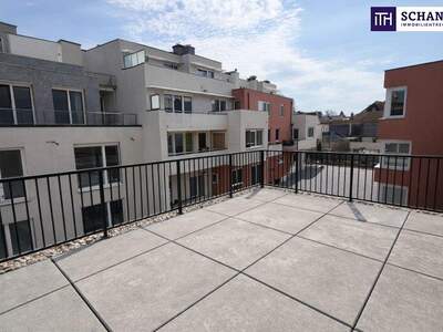 Terrassenwohnung kaufen in 2301 Groß (Bild 1)