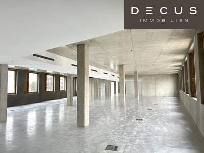 Büro / Praxis mieten in 1230 Wien (Bild 3)