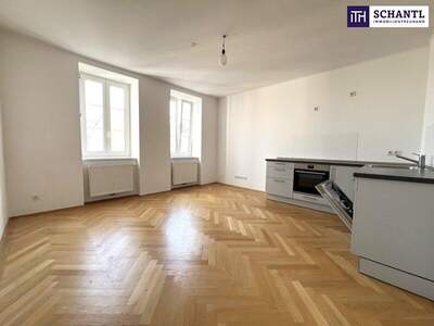 Terrassenwohnung kaufen in 1050 Wien (Bild 4)