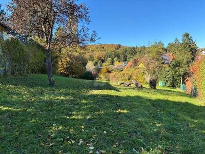 Grundstück kaufen in 2384 Breitenfurt