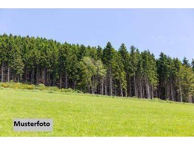 Gewerbeobjekt kaufen in 4565 Inzersdorf