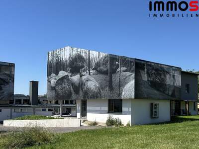 Gewerbeobjekt mieten in 4210 Gallneukirchen (Bild 3)