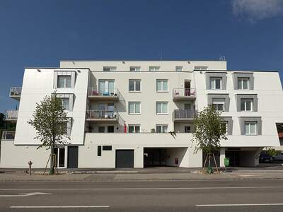 Terrassenwohnung mieten in 3400 Klosterneuburg (Bild 1)