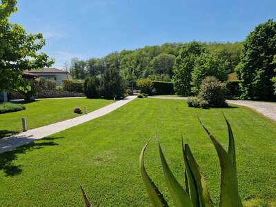 Haus mit Garten kaufen in 33043 Cividale (Bild 3)