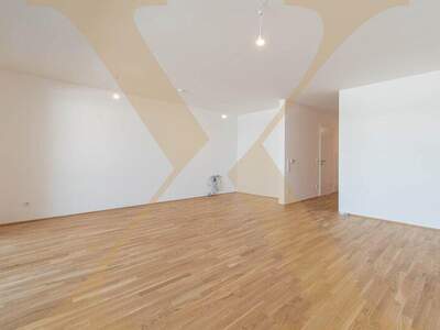 Terrassenwohnung kaufen in 4020 Linz (Bild 1)