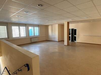 Gewerbeobjekt kaufen in 7000 Eisenstadt (Bild 2)