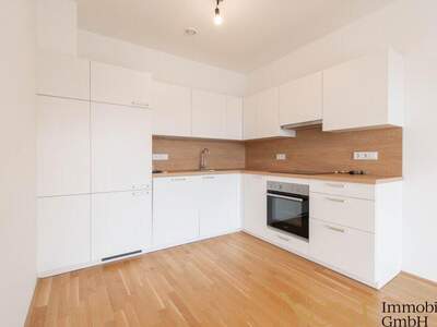 Terrassenwohnung mieten in 4020 Linz (Bild 3)