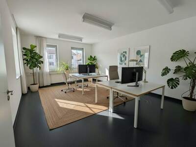 Gewerbeobjekt mieten in 8330 Feldbach (Bild 3)