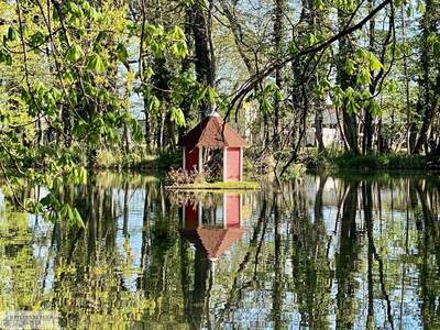 Grundstück kaufen in 2486 Pottendorf (Bild 5)