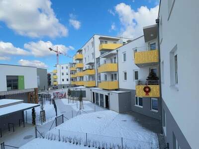 Wohnung mieten in 2700 Wiener Neustadt