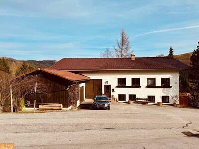 Haus kaufen in 4813 Altmünster